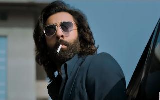 Animal Box Office Collection Day 17: Ranbir Kapoor's Film Enters Rs 500 Crore Club In India